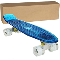 WeSkate Cruiser Skateboard Complete Deck Mini Skateboard 22